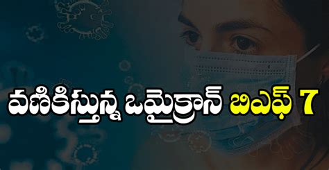 డి బిఎఫ్|బీఎఫ్ఎఫ్